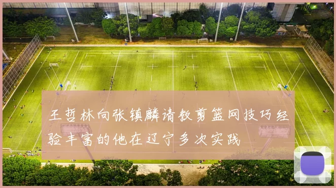 王哲林向张镇麟请教剪篮网技巧经验丰富的他在辽宁多次实践