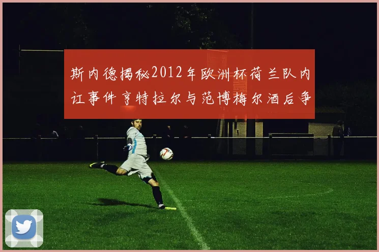 斯内德揭秘2012年欧洲杯荷兰队内讧事件亨特拉尔与范博梅尔酒后争执内幕